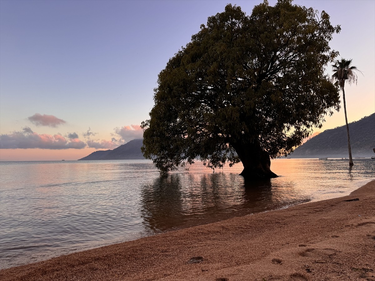 Doğu Afrika ülkesi Malavi'de balıkçılıkla uğraşan kıyı halkı, gece saatlerinde tuttukları...