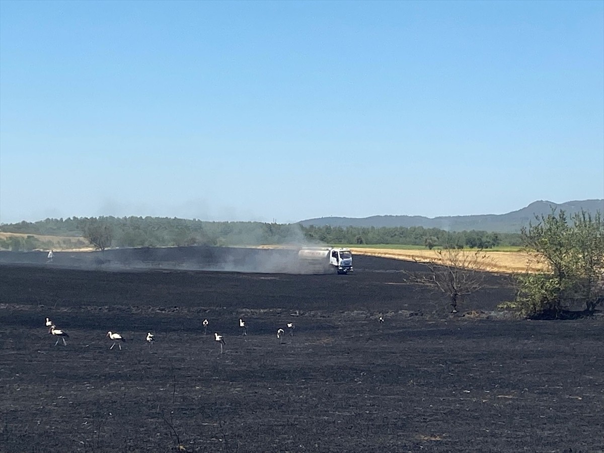 Edirne'nin Keşan ilçesinde buğday tarlasında çıkan yangın itfaiye ekiplerince söndürüldü.