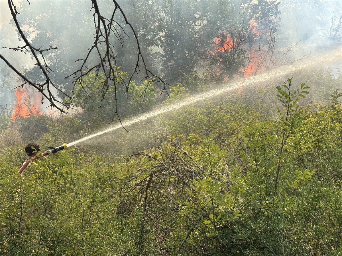 Edirne'nin Lalapaşa ilçesinde çıkan orman yangınına karadan müdahale ediliyor.
