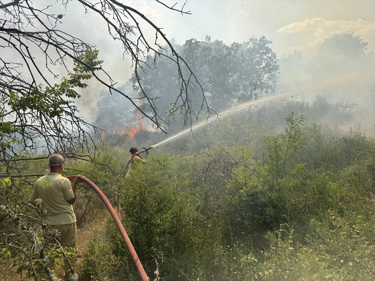 Edirne'nin Lalapaşa ilçesinde çıkan orman yangınına karadan müdahale ediliyor.
