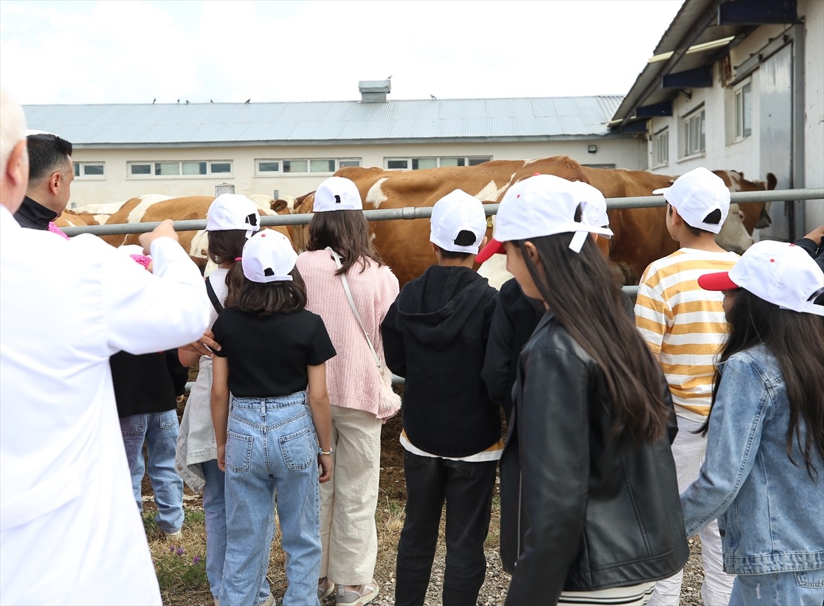 Erzurum'da Aile ve Sosyal Hizmetler İl Müdürlüğü, İl Tarım ve Orman Müdürlüğü ve Atatürk...