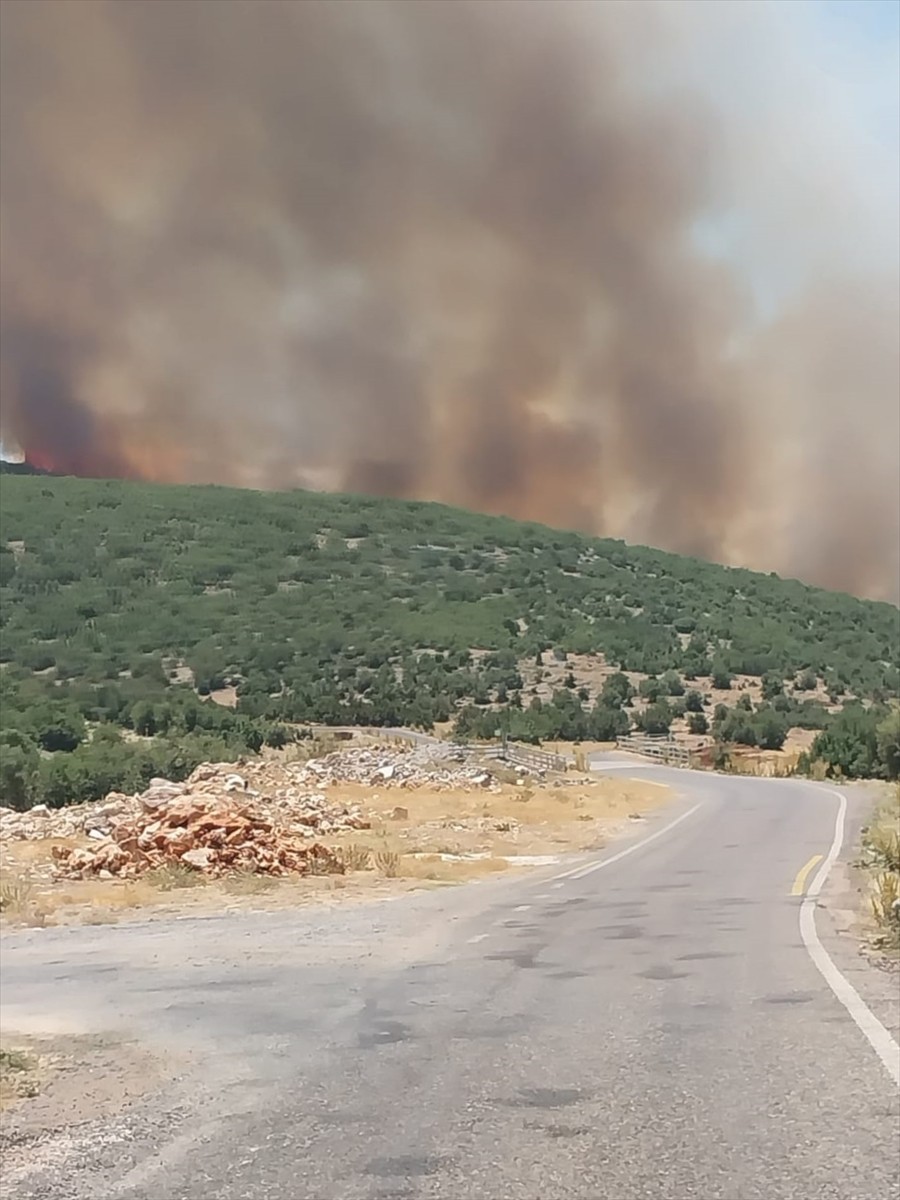 Gaziantep'in Nurdağı ilçesinde çıkan orman yangınına müdahale ediliyor.