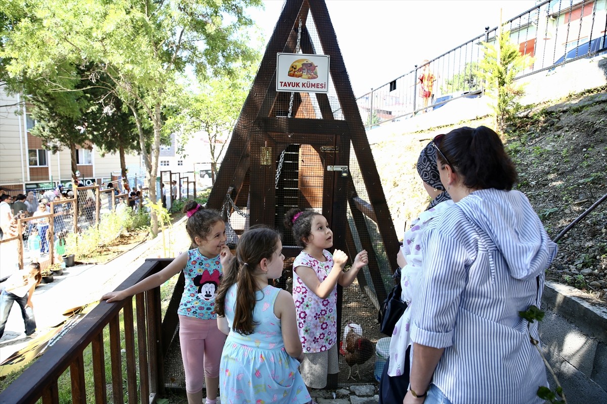 Giresun'da anaokulunda öğrencilere bina dışında da eğitim imkanı sunan "Orman Okulu Projesi"...