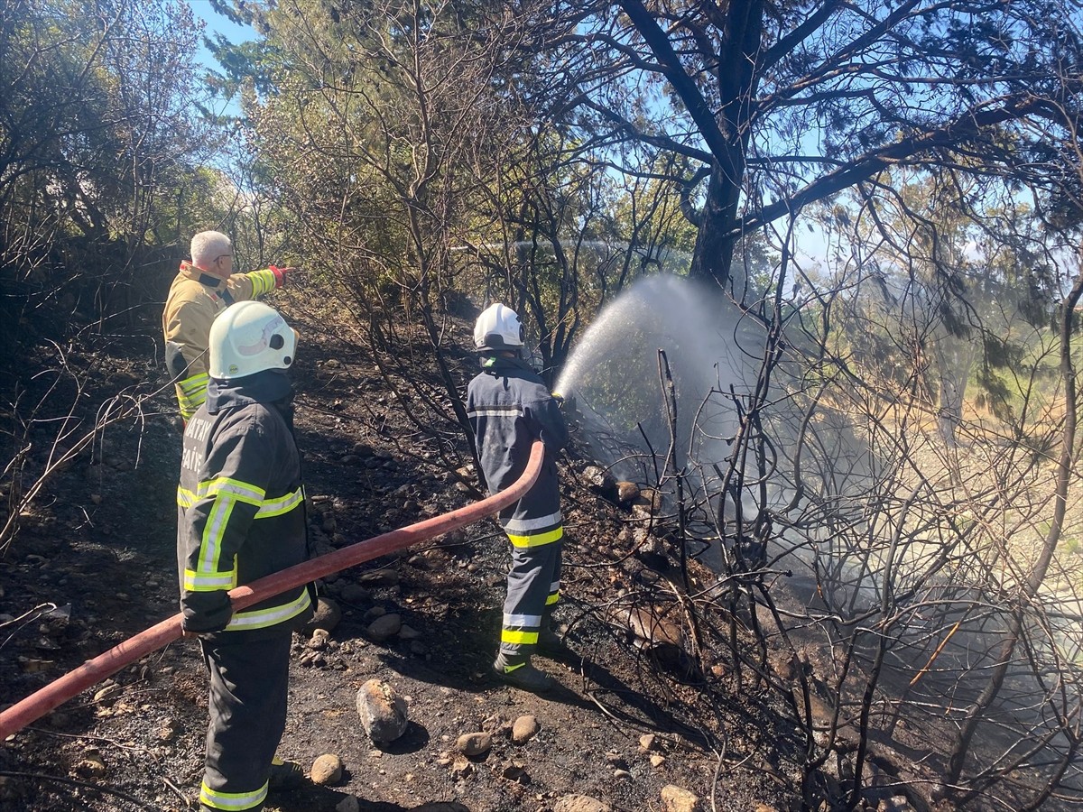 Hatay'ın Arsuz ilçesinde ormanlık alanda çıkan yangın ekiplerin müdahalesiyle söndürüldü.
