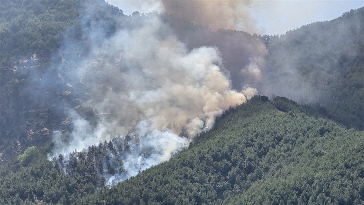 Hatay'ın Hassa ilçesinde ormanlık alanda çıkan yangına havadan ve karadan müdahale ediliyor.