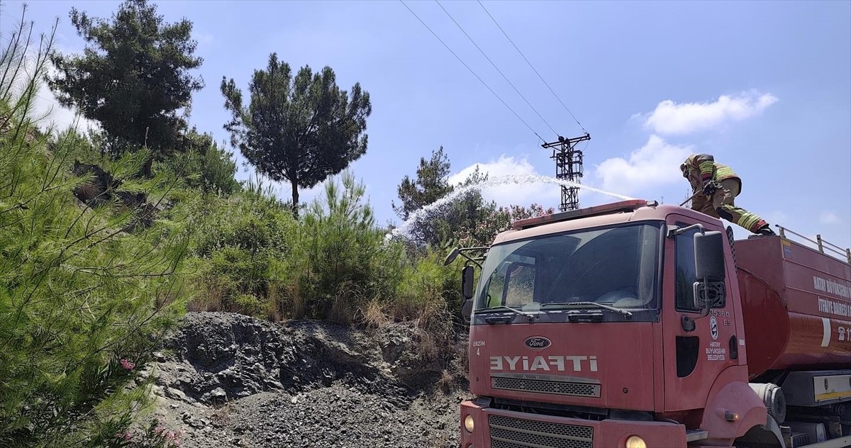 Hatay'ın İskenderun ilçesinde ormanlık alanda çıkan yangın söndürüldü.