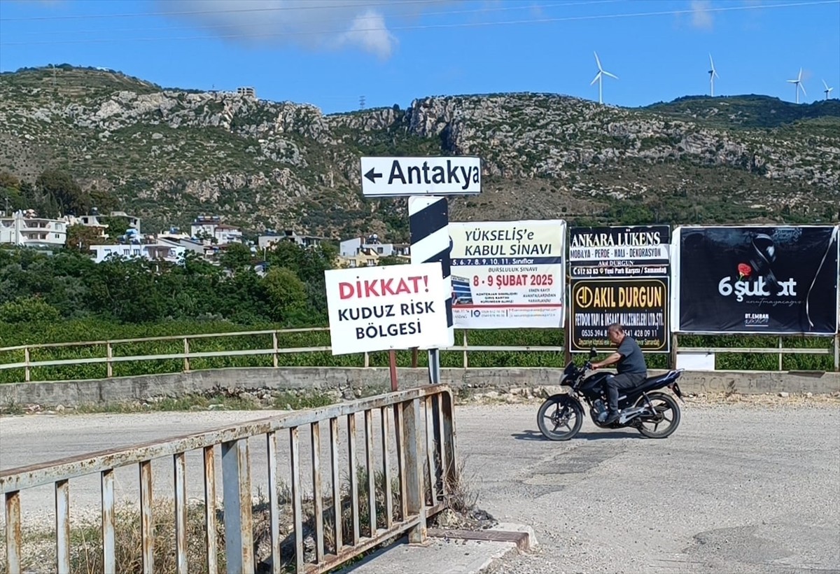Hatay'ın Samandağ ilçesinde, kuduz nedeniyle karantinaya alınan 4 mahalledeki sahipsiz köpeklerin...