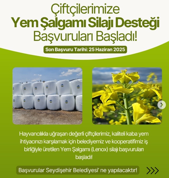 Haziran müjdesi cepleri dolduracak! Son 12 gün başvurana ödeme yapılacak