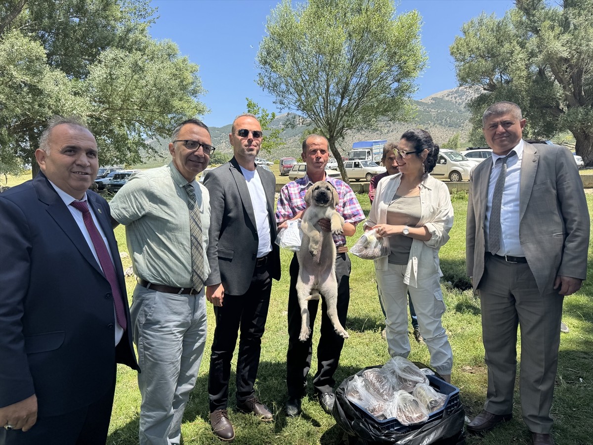 Isparta'da küçükbaş hayvan yetiştiricilerine sürülerini korumak ve sürü yönetimini güçlendirmek...
