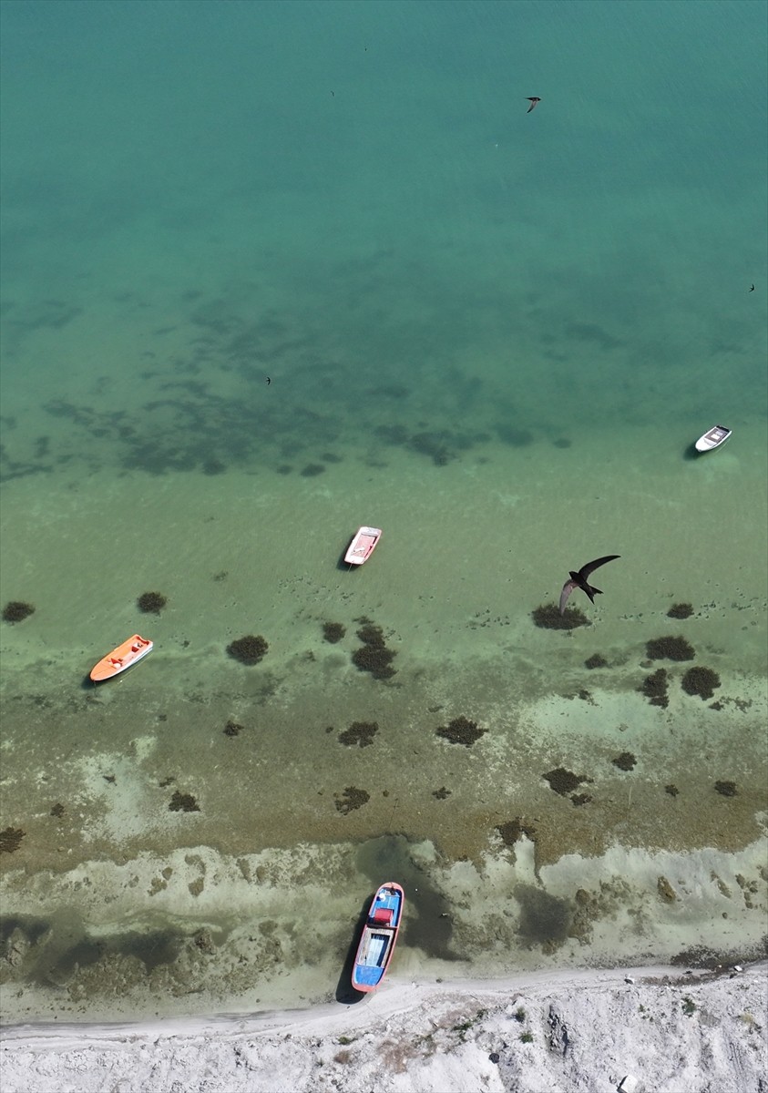 Isparta'da kuraklığın etkisiyle su seviyesi hızla düşen ve biyolojik kirlilik oluşan Eğirdir Gölü...