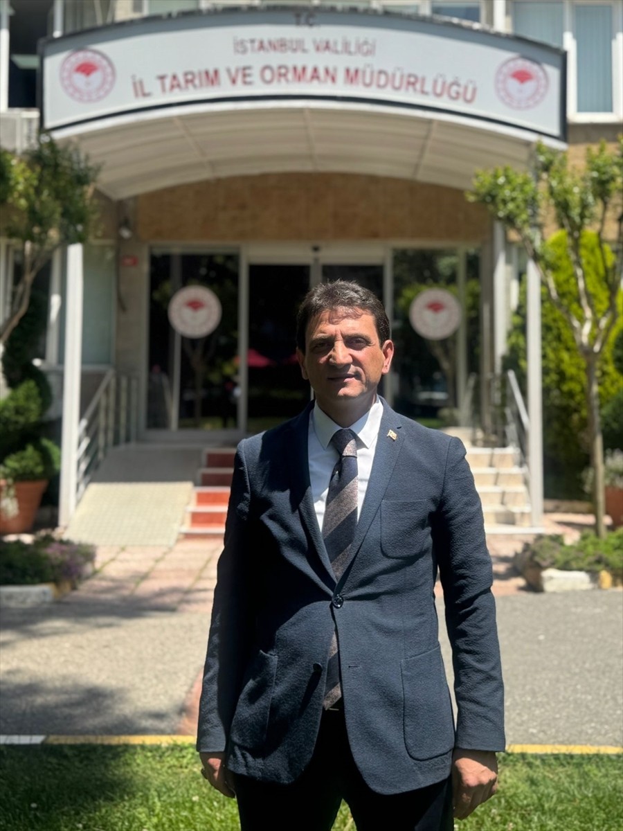 İstanbul İl Tarım ve Orman Müdürü Suat Parıldar, AA muhabirine açıklamalarda bulundu.