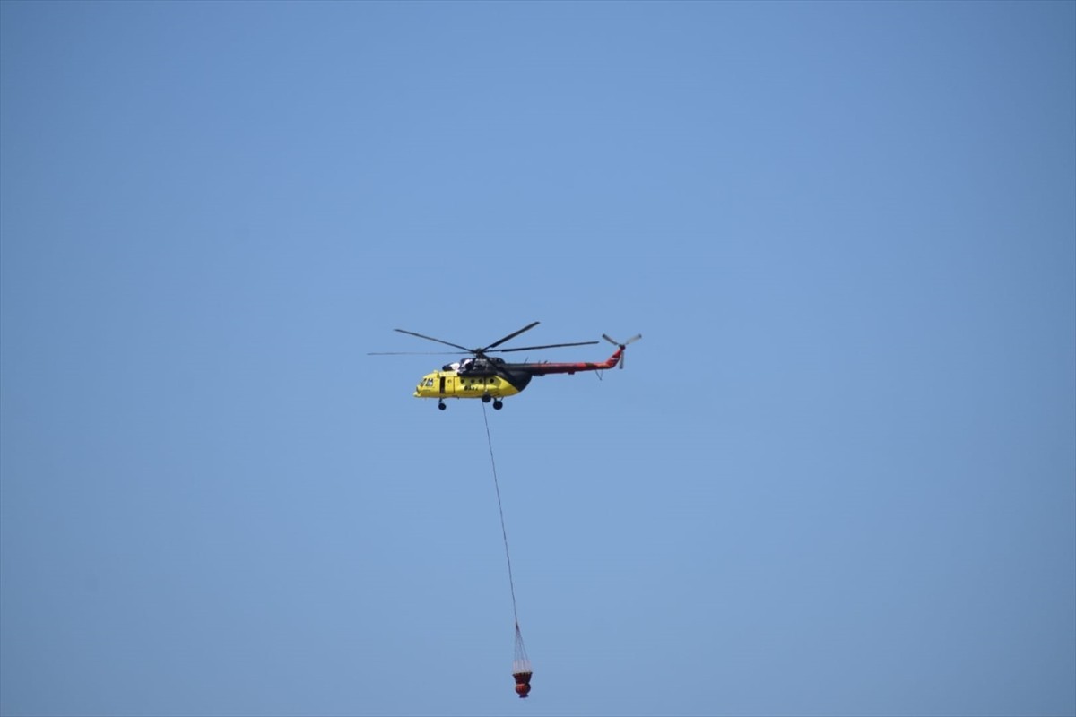 İzmir'in Bornova ilçesinde tarım arazisinde başlayıp ormana sıçrayan yangına karadan ve havadan...