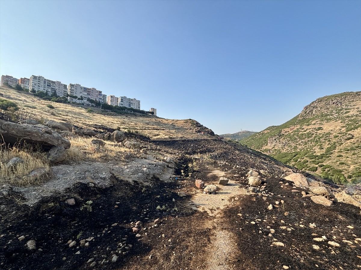 İzmir'in Çiğli ilçesinde otluk ve ağaçlık alanda çıkan yangın, havadan ve karadan müdahaleyle...