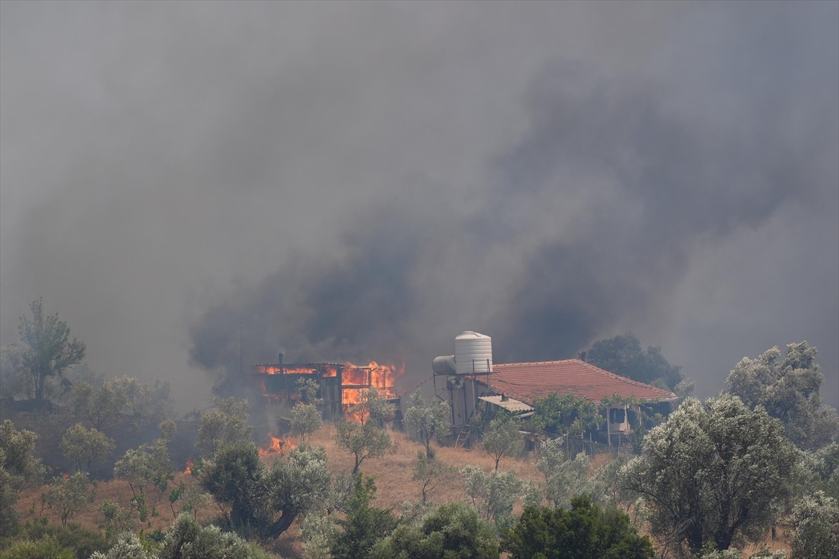 İzmir'in Menderes ve Seferihisar ilçeleri sınırlarında çıkan orman yangınına havadan ve karadan...