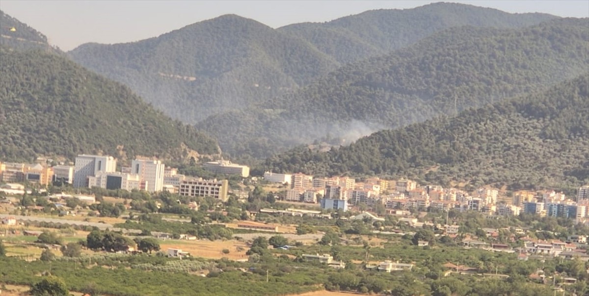 İzmir'in Narlıdere ilçesinde çıkan orman yangınına havadan ve karadan müdahale ediliyor.