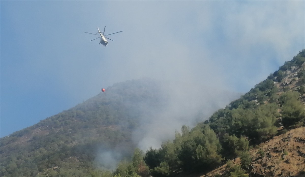 Kahramanmaraş'ın Türkoğlu ilçesinde dün sabah çıkan orman yangınını söndürme çalışmaları havadan...