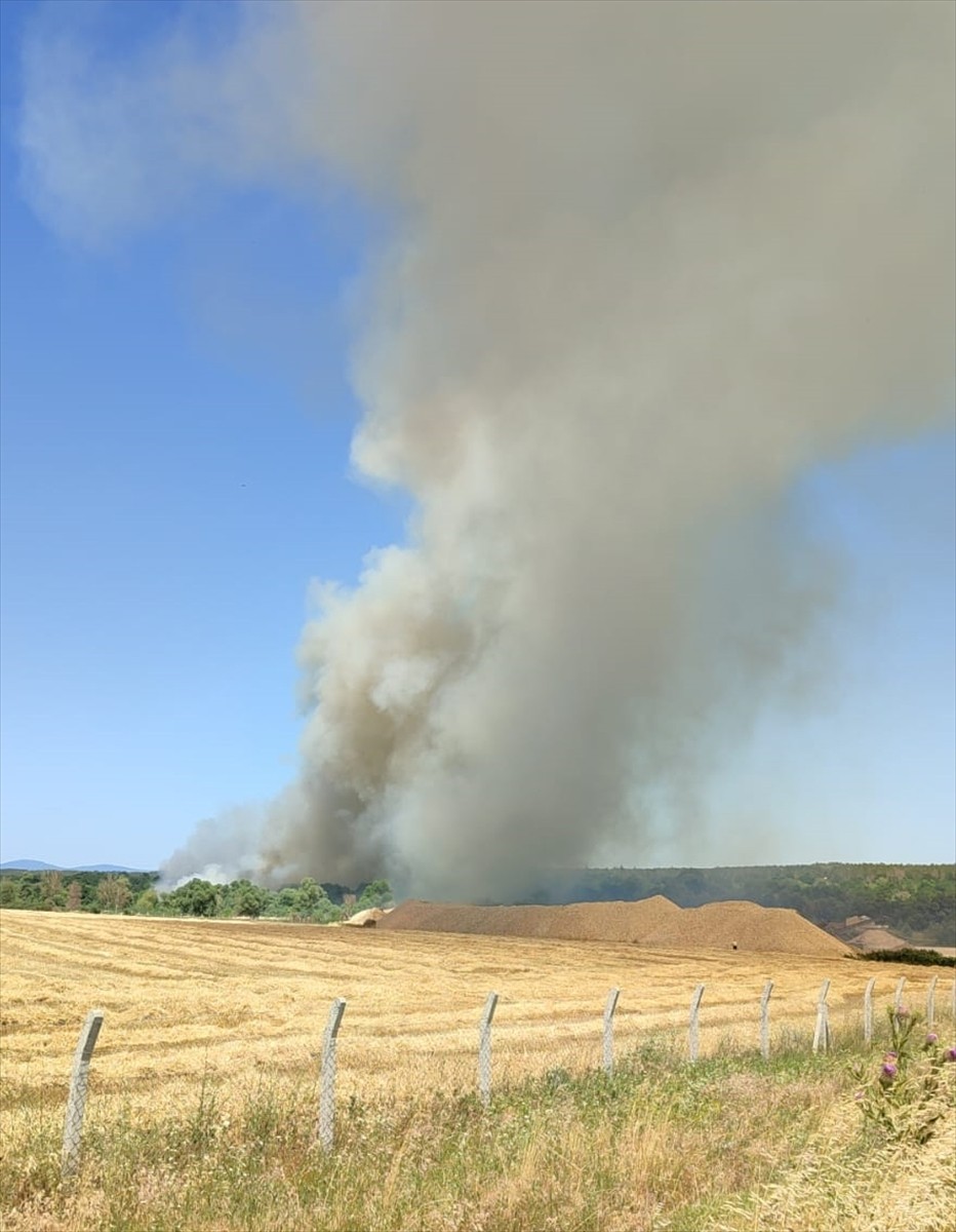 Kırklareli'nin Pınarhisar ilçesinde tarım arazisinde başlayıp ağaçlık alana sıçrayan yangın...