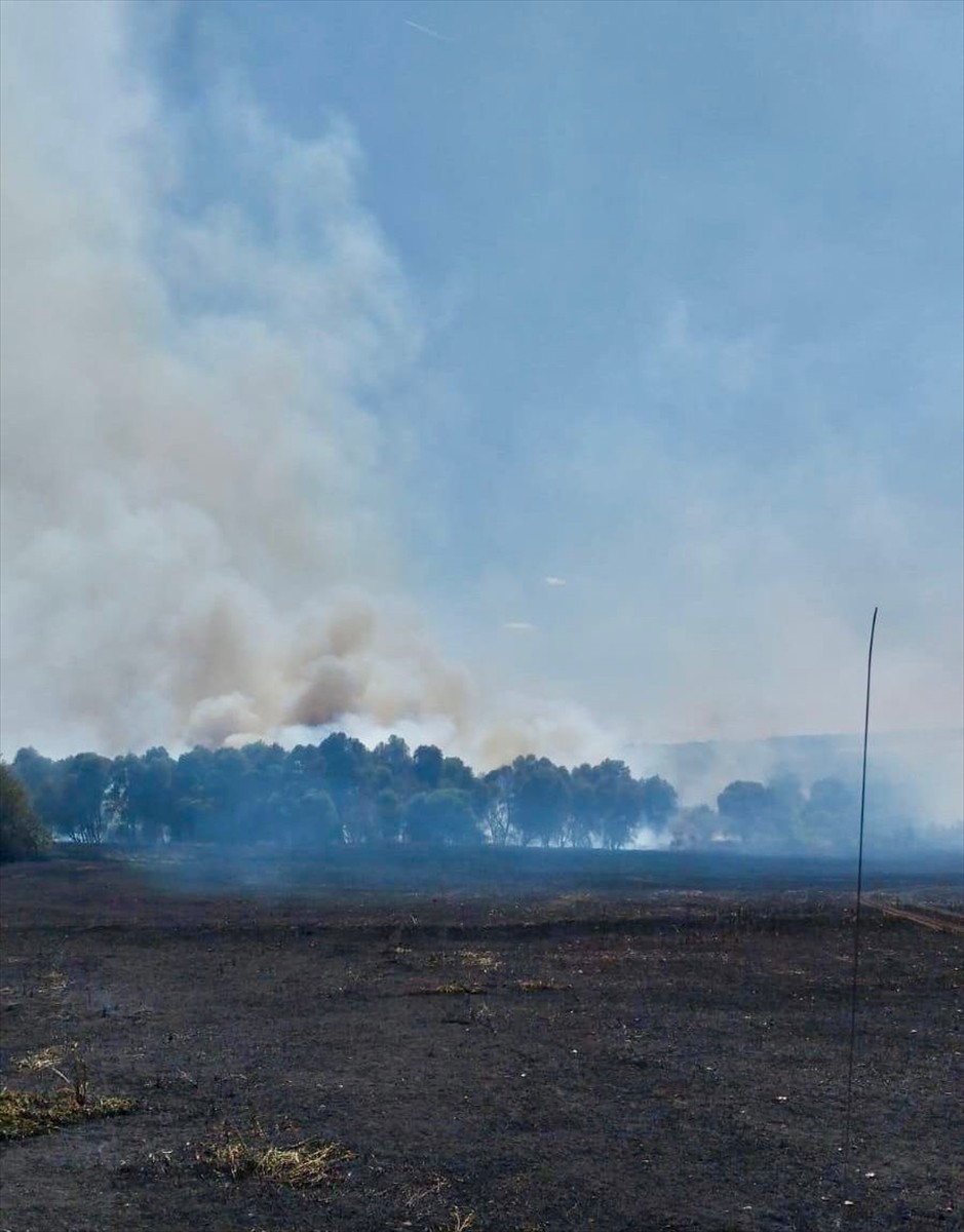 Kırklareli'nin Pınarhisar ilçesinde tarım arazisinde başlayıp ağaçlık alana sıçrayan yangın...