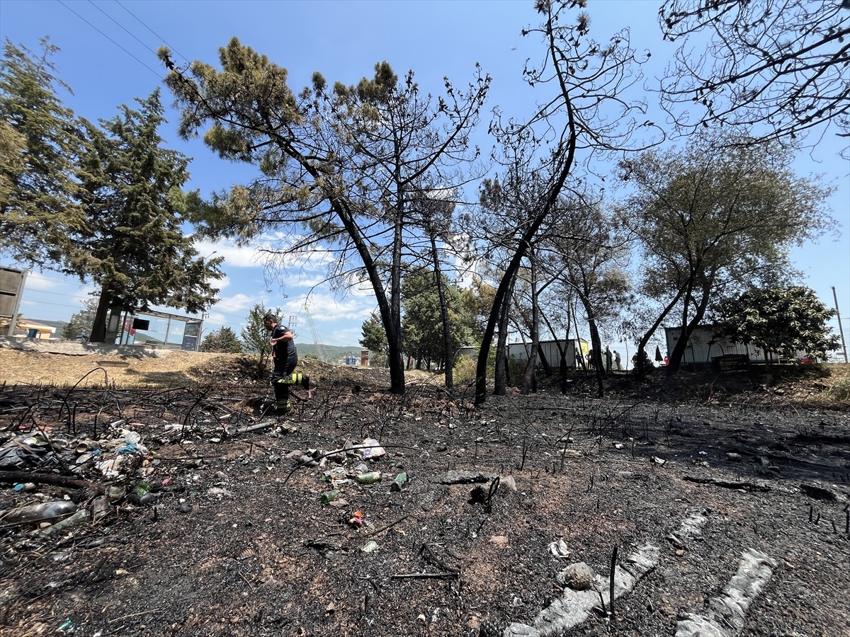 Kocaeli'nin Derince ilçesinde ağaçlık ve otluk alanda çıkan yangında 4 kişi dumandan etkilendi....