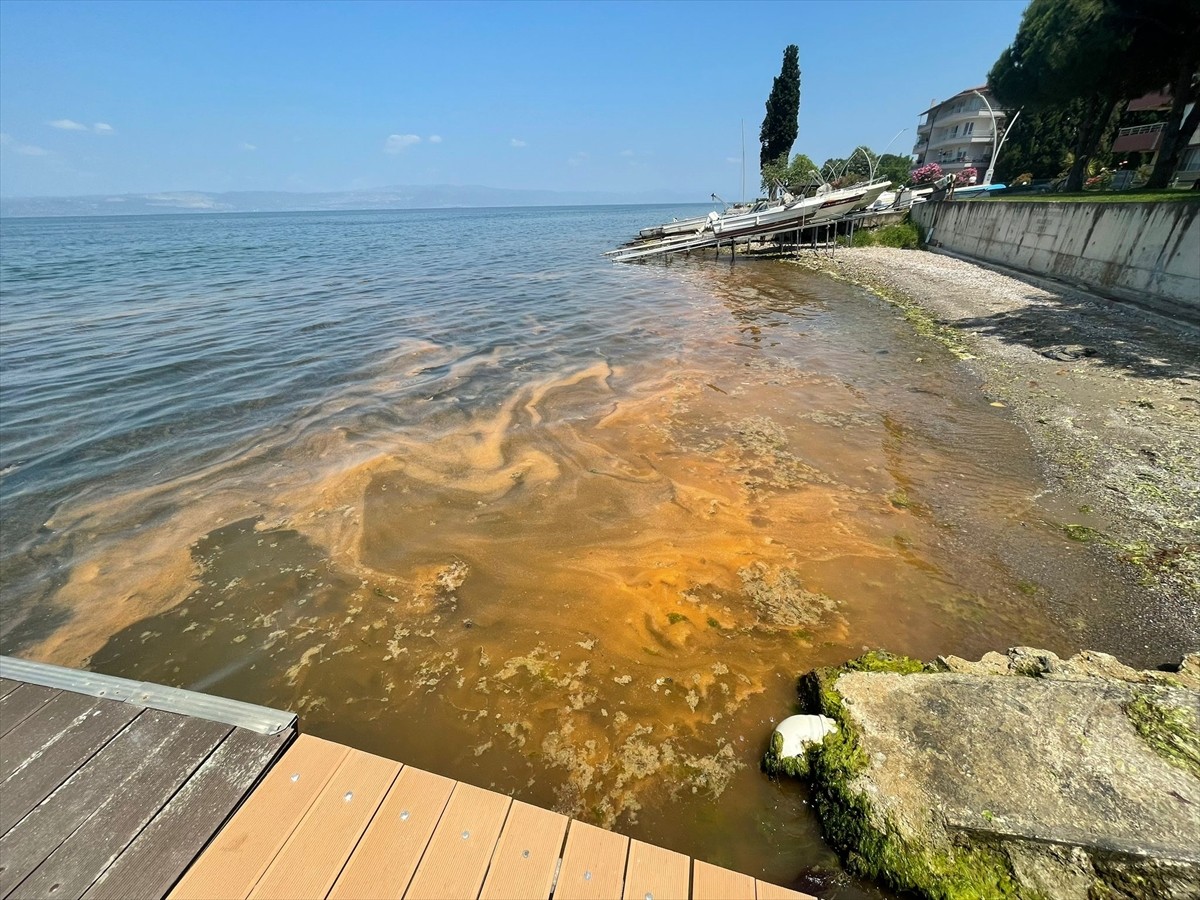 Kocaeli'nin Karamürsel ilçesinde denizin kıyı kesimi turuncuya dönüştü.