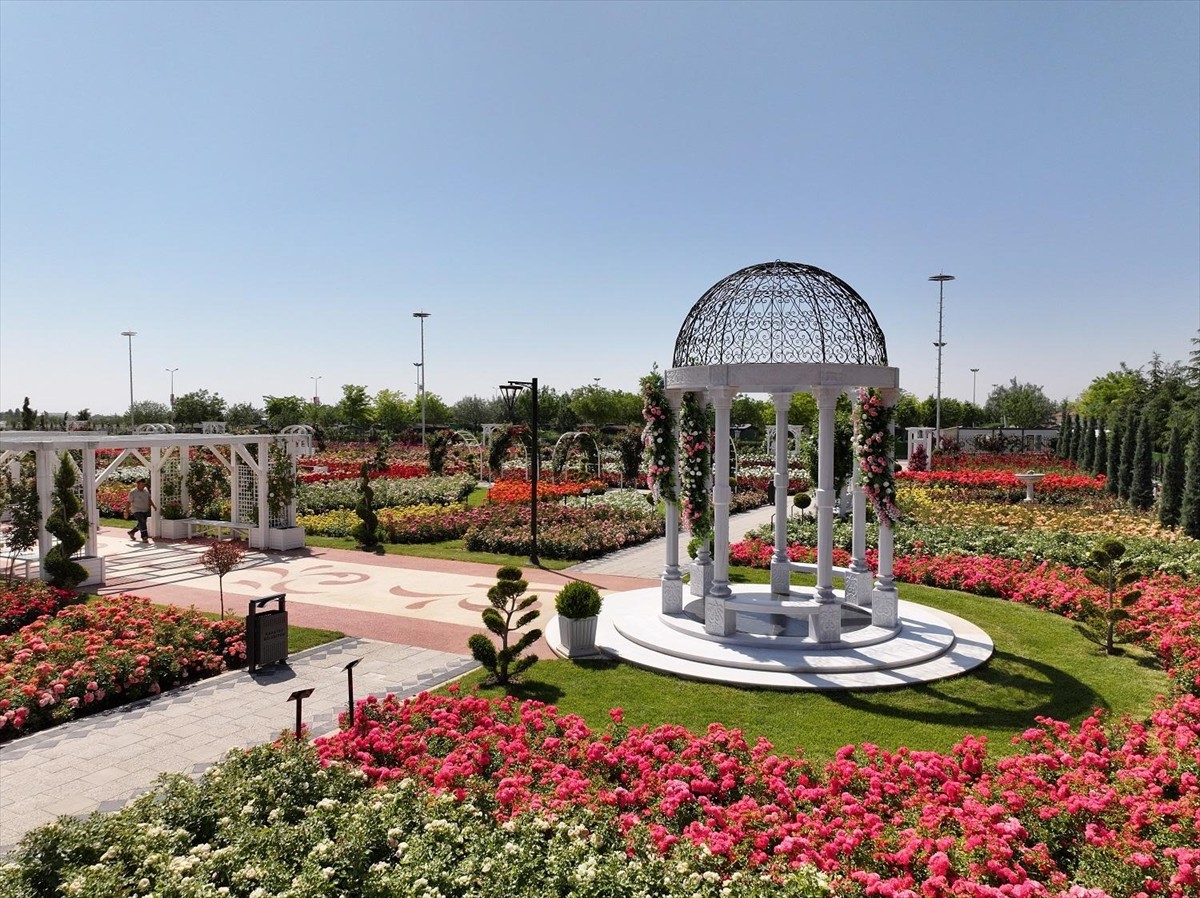 Konya'da 190 türde 50 bin gülün yer aldığı Karatay Mevlana Gül Parkı ziyaretçilerini...