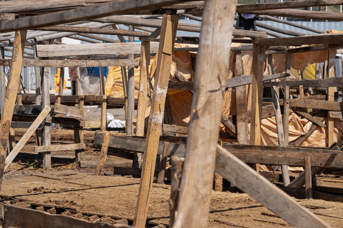 Kurbanlık satışlarının sona ermesiyle başkentte kurulan hayvan pazarlarındaki çadırların...