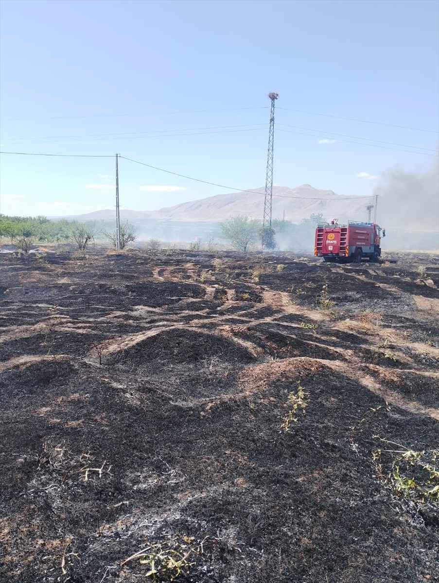 Malatya'nın Kale ilçesinde otluk alanda çıkan ve buğday tarlasına sıçrayan yangın...
