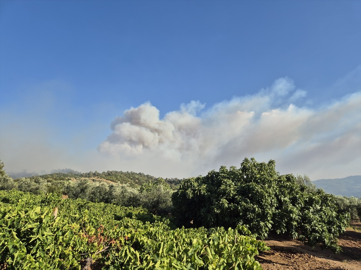 Manisa'nın Ahmetli ilçesinde ormanlık alanda çıkan yangına, havadan ve karadan müdahale...