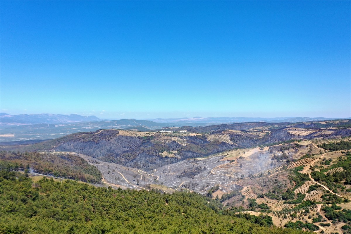 Manisa'nın Akhisar ilçesinde 28 Haziran'da çıkan orman yangınına havadan ve karadan müdahale devam...