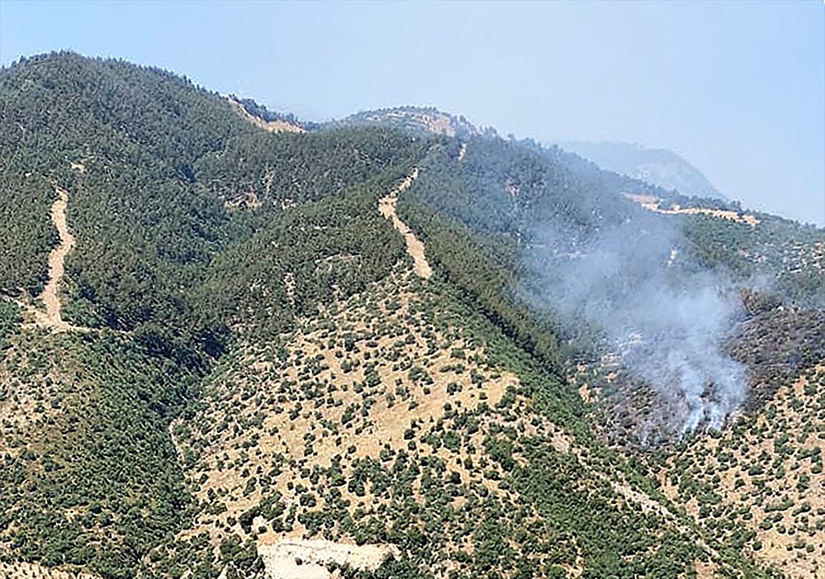 Manisa'nın Alaşehir ilçesinde çıkan orman yangınına havadan ve karadan müdahale ediliyor.