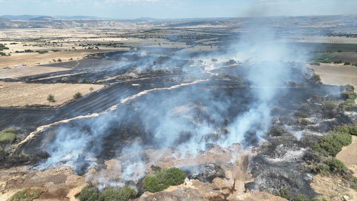 Manisa'nın Kula ilçesinde buğday hasadı yapılan tarlada yangın çıktı, alevler ekiplerin...