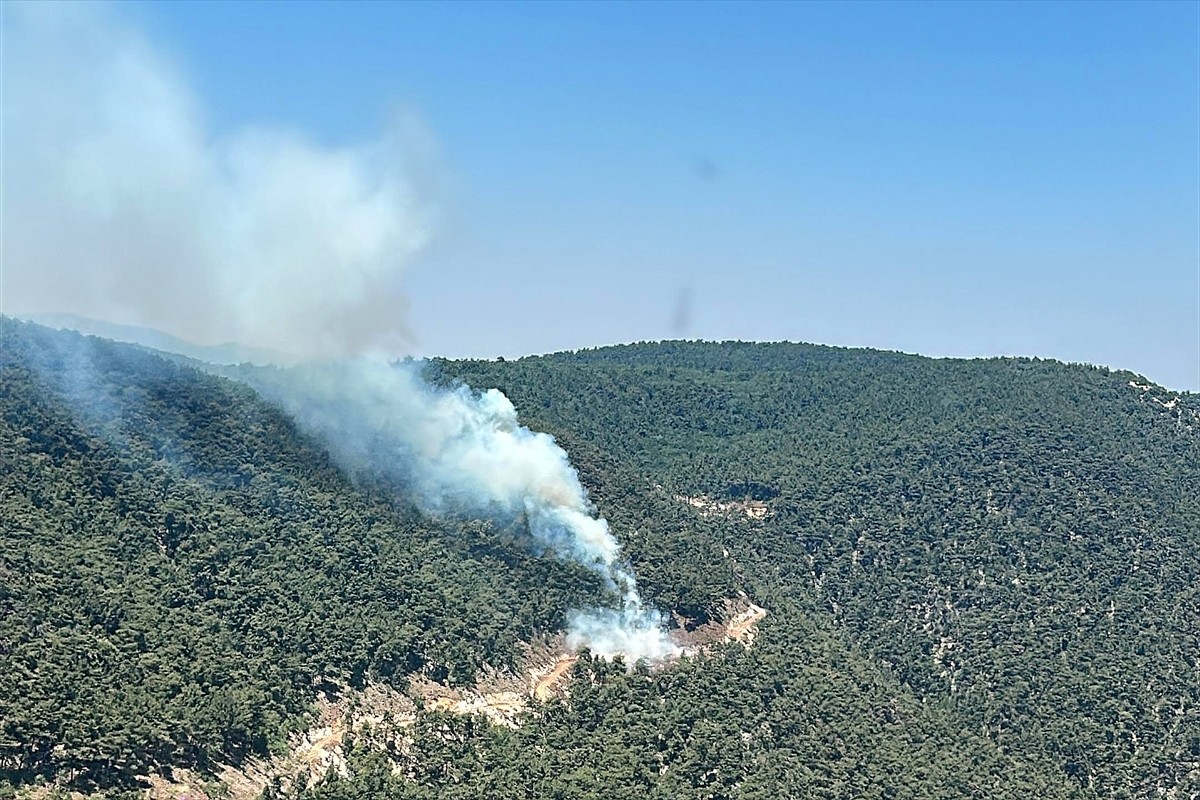 Manisa'nın Yunusemre ilçesinde başlayan orman yangınına havadan ve karadan müdahale ediliyor.