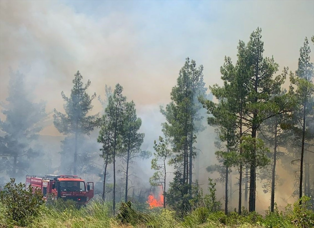 Mersin'in Gülnar ilçesinde çıkan orman yangını ekiplerin müdahalesiyle kontrol altına...