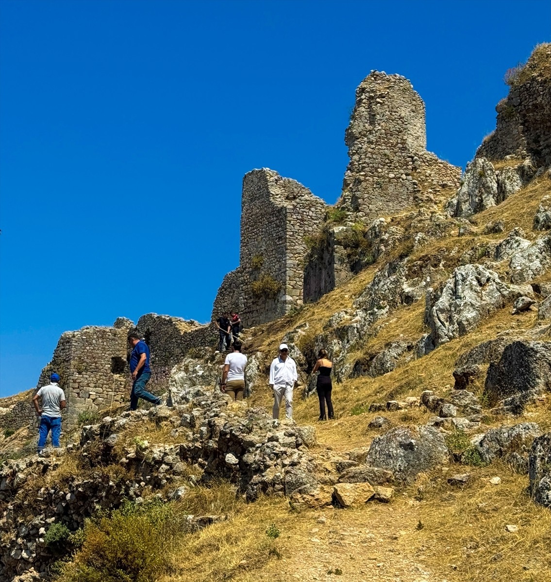 Muğla'da, Fethiye Kalesi'nin arkeolojik kazı alanındaki otluk alanda çıkan yangın...