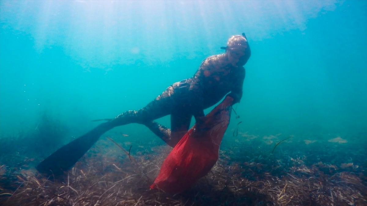 Muğla'nın Bodrum ilçesinde, Bodrum Belediyesince "Denize en çok mavi yakışır" sloganıyla...