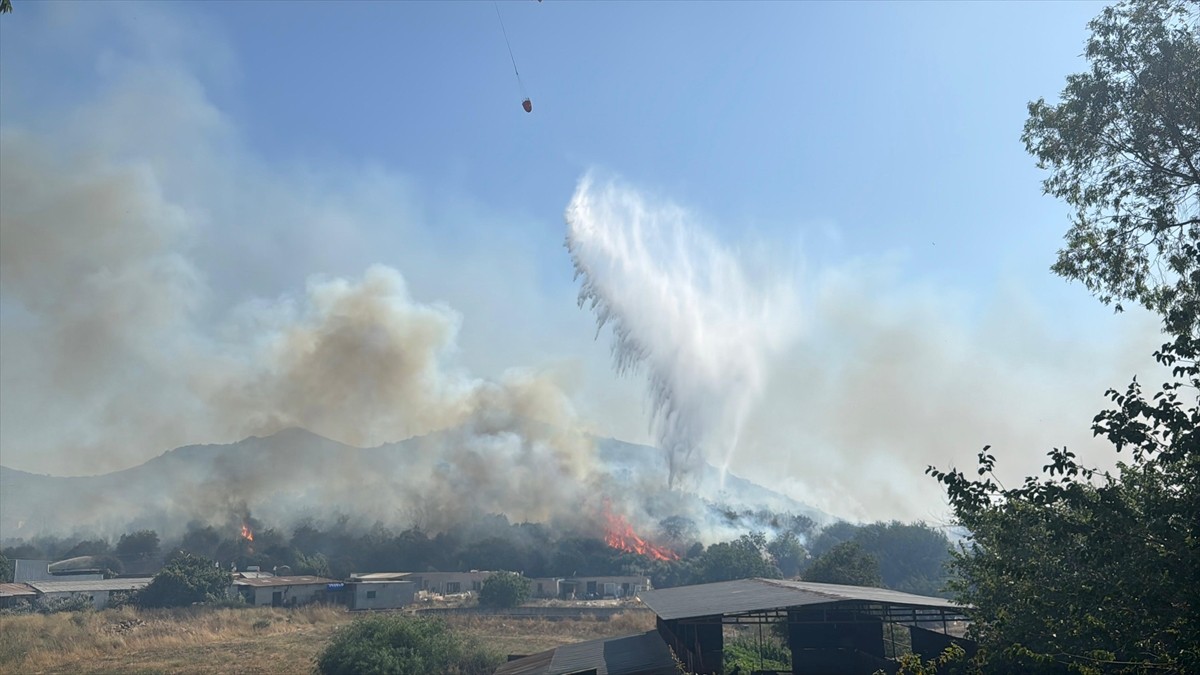 Muğla'nın Bodrum ilçesinde makilik alanda çıkan ve tarım bölgesine yayılan yangına havadan ve...