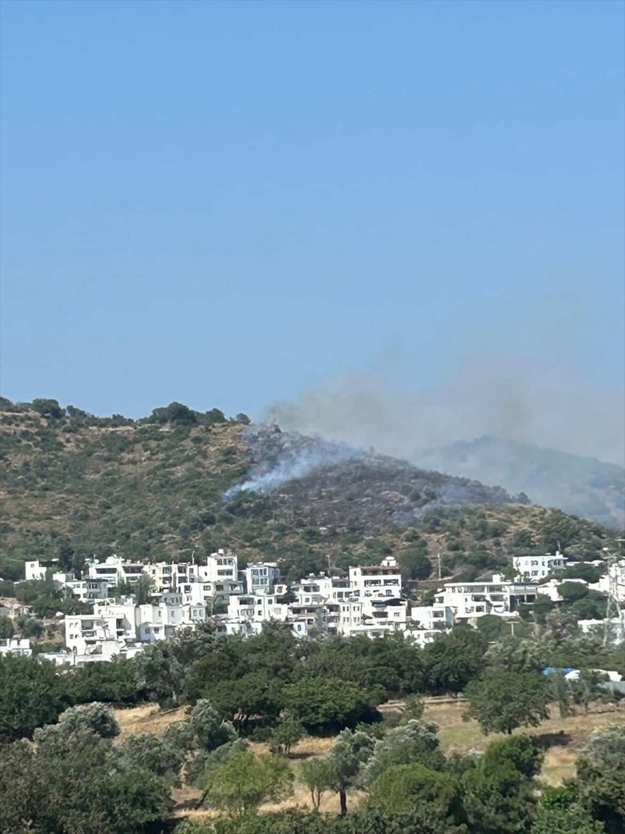 Muğla'nın Bodrum ilçesinde makilik alanda çıkan yangın havadan ve karadan müdahaleyle...