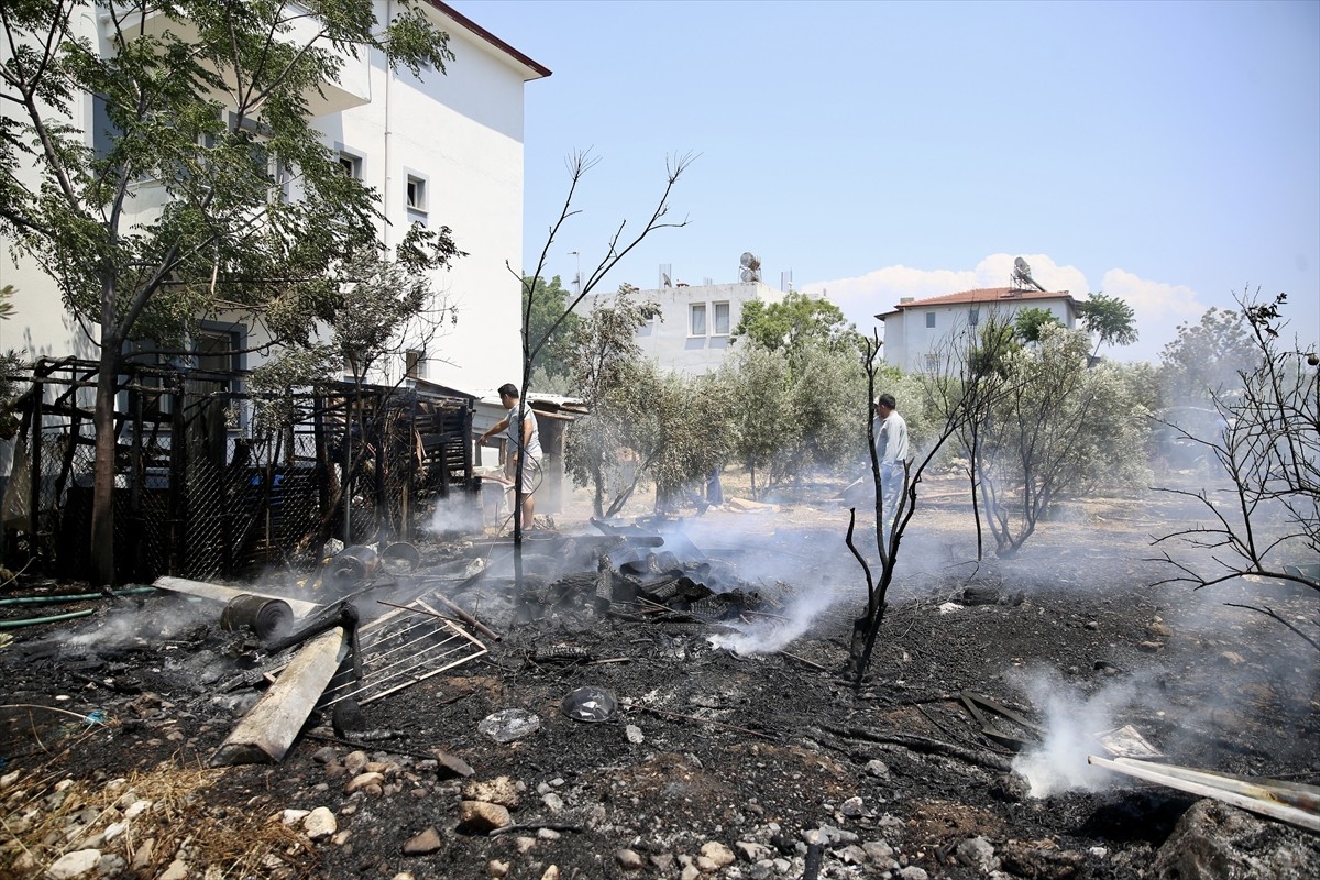 Muğla'nın Fethiye ilçesinde odunlukta çıkan ve zeytinliğe sıçrayan yangın söndürüldü.  Söndürme...