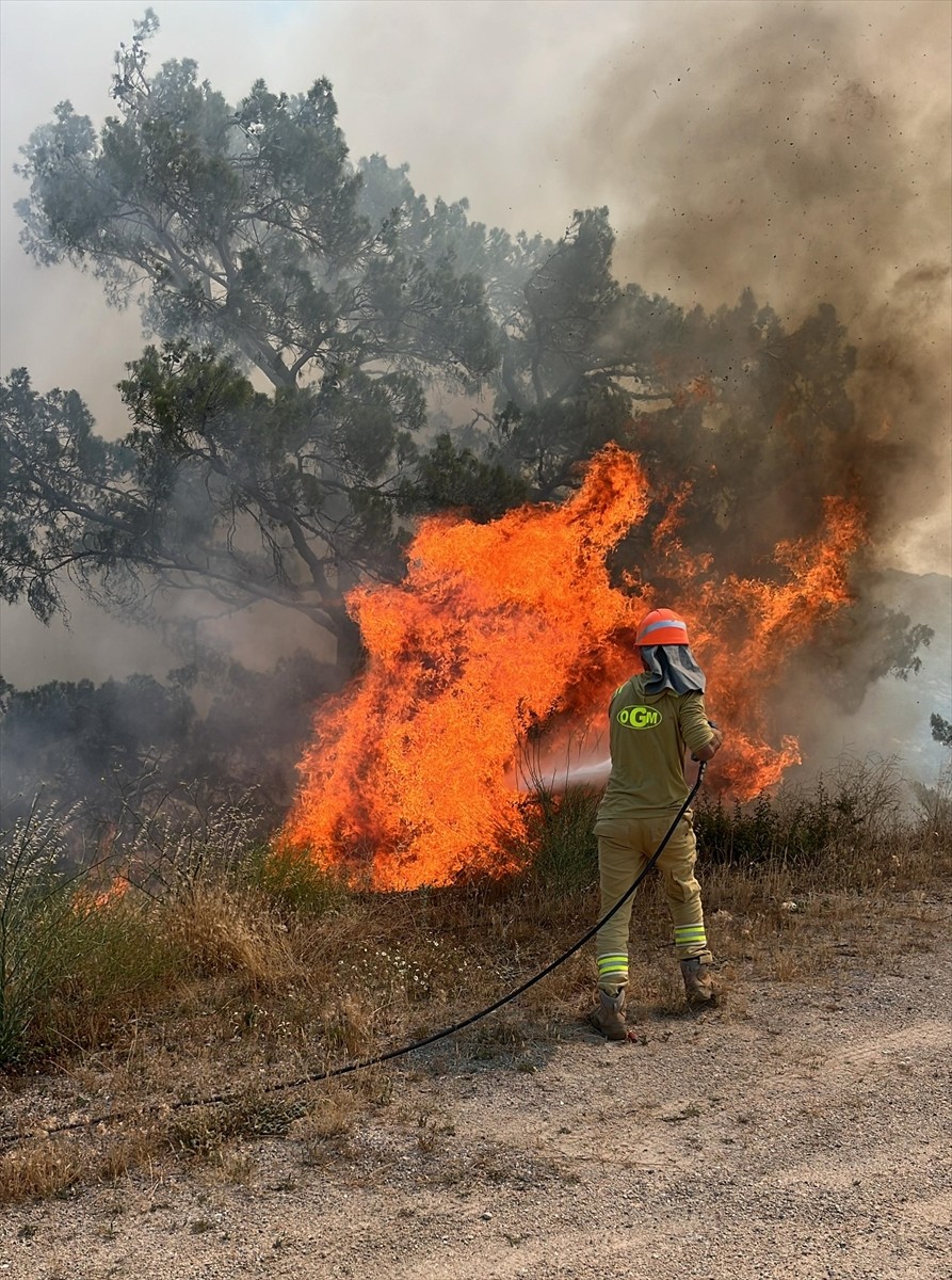 Muğla'nın Yatağan ilçesinde çıkan orman yangını ekiplerin müdahalesiyle söndürüldü. Yangında, 2...