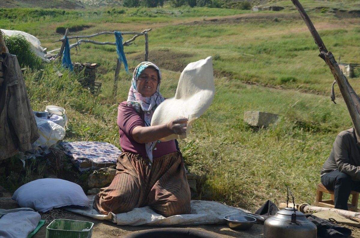 Muş'ta besiciler, havanın ısınmasıyla sürülerini çıkardıkları yüksek rakımlı yaylalarda...