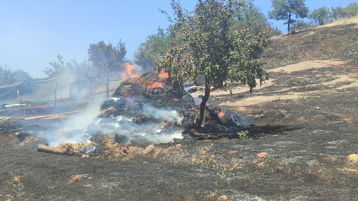 Ödemiş ilçesine bağlı Kurucuova Mahallesi'nde çıkan yangın da itfaiye ekiplerince kısa sürede...