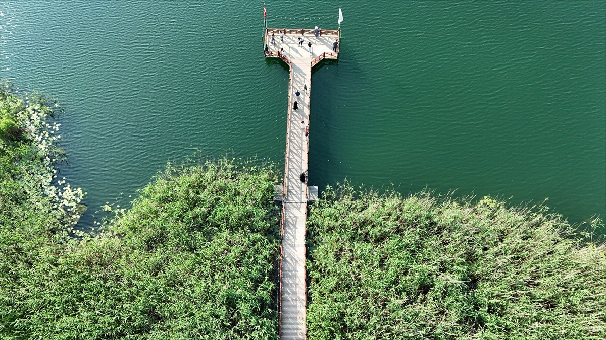 Ordu'da havaların ısınmasıyla yemyeşil örtüyle kaplanan Gaga Gölü'nde Kurban Bayramı tatili...
