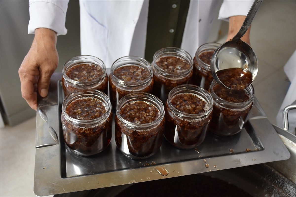 Ordu'da, kooperatif çatısı altında üretim yapan kadınların yöresel lezzetlerle kazanç sağladığı...