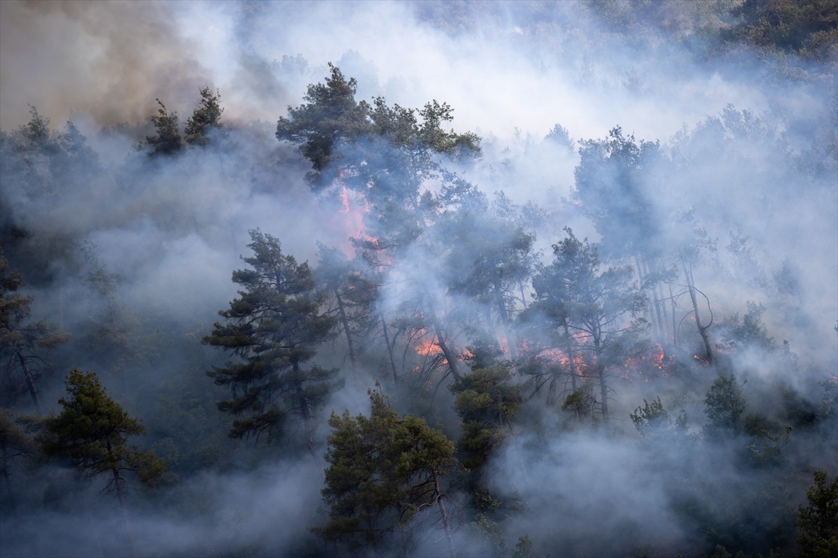 Sakarya'da çıkıp Bilecik tarafına sıçrayan orman yangınında ekiplerin söndürme ve soğutma...