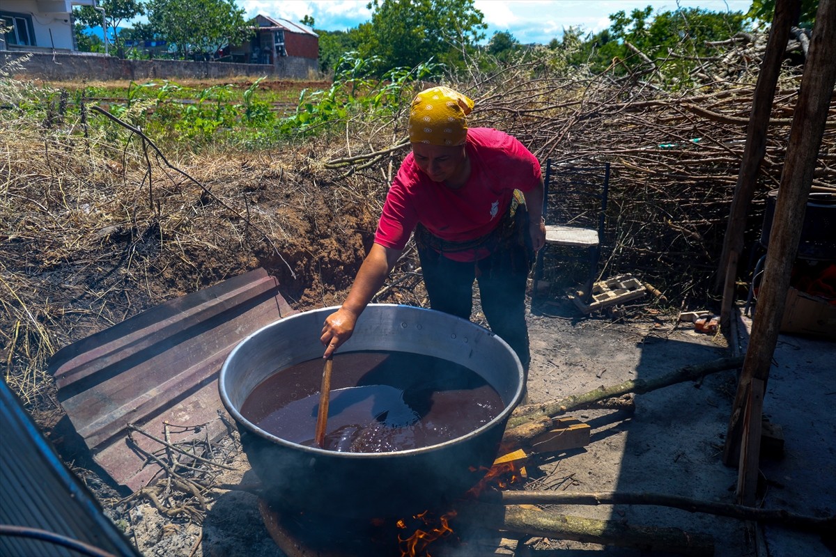 Sakarya'nın Kocaali ilçesinde evinde sağlıklı beslenme amacıyla hazırladığı ürünleri çevresinden...