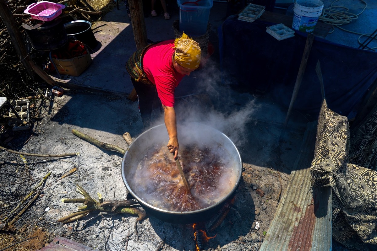 Sakarya'nın Kocaali ilçesinde evinde sağlıklı beslenme amacıyla hazırladığı ürünleri çevresinden...
