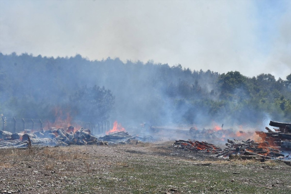 Sakarya'nın Söğütlü ilçesinde orman işletme deposunda çıktıktan sonra ağaçlık alana sıçrayan...
