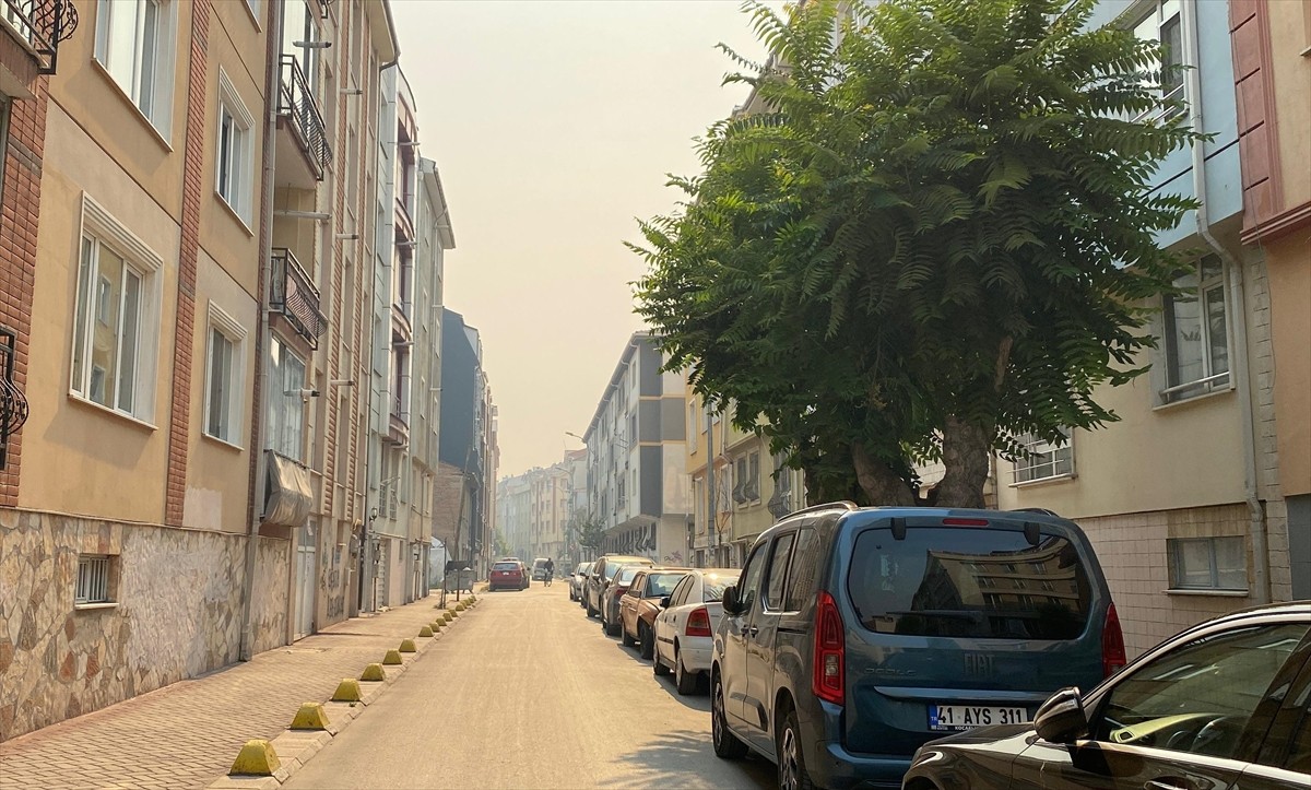 Sakarya'nın Taraklı ilçesindeki ormanlık alanda çıkan ve Bilecik tarafına sıçrayan yangın...