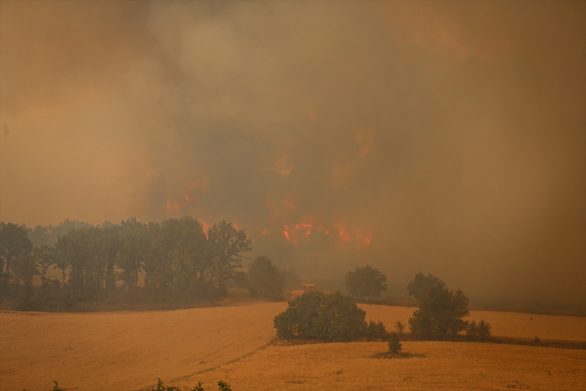 Sakarya'nın Taraklı ilçesindeki ormanlık alanda çıkan ve Bilecik tarafına sıçrayan yangını kontrol...