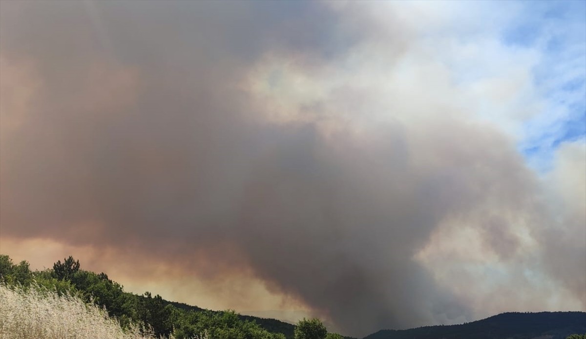 Sakarya'nın Taraklı ilçesindeki ormanlık alanda çıkan yangın, Bilecik tarafına sıçradı. Orman...